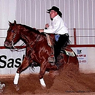 Flyer San badger